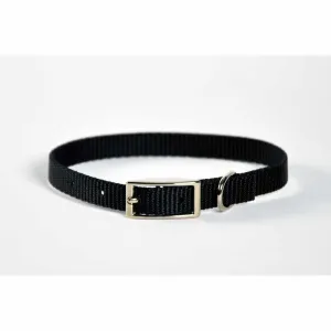 Dog Collar Skinny - 8" Turquoise